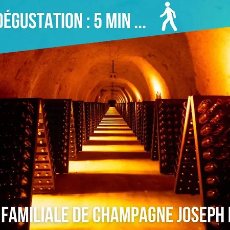Cocon D'hiver: Cozy Retreat With Netflix & Family-friendly Amenities * Chalons-en-Champagne